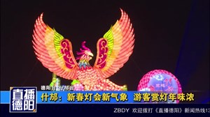 什邡：新春灯会新气象 游客赏灯年味浓
