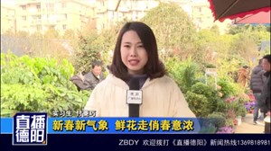 新春新气象  鲜花走俏春意浓