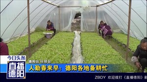 德阳：人勤春来早 农民田间忙