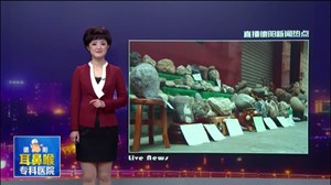 老有所乐：罗江老人的奇石收藏之路