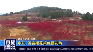 中江 百亩樱花染红樱花岭