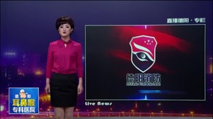 春节我站岗  平安您放心