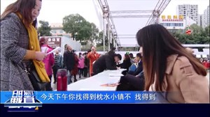 2018就业扶贫春风行动大型招聘会开幕