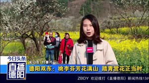 德阳双东：桃李芬芳花满山  踏青赏花正当时