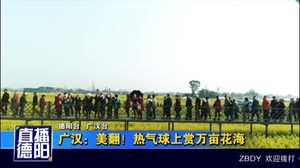 广汉：美翻！热气球上赏万亩花海