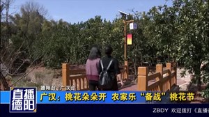 广汉：桃花朵朵开  农家乐“备战”桃花节