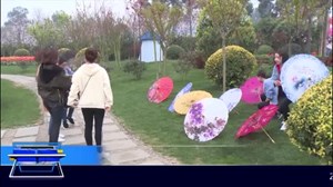 春光美 外出踏青谨防过敏