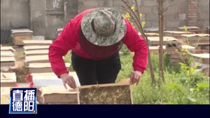 李运春：子承父业 走出“甜蜜”脱贫致富路
