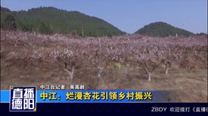 中江：烂漫杏花引领乡村振兴