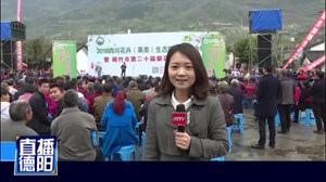 绵竹梨花节开幕  邀您梨花树下学刺绣