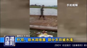 什邡：排水洞堵塞  部分农田被水淹