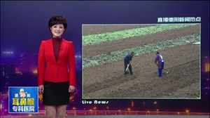 春分时节  农民耕种忙