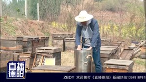 养蜂人谢毅家的“甜蜜事业”