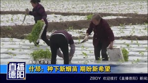什邡：种下新烟苗 期盼新希望