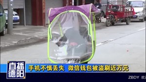 手机不慎丢失  微信钱包被盗刷近万元
