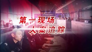 德阳公安“春雷二号”行动圆满收官