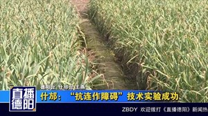 什邡：“抗连作障碍”技术实验成功