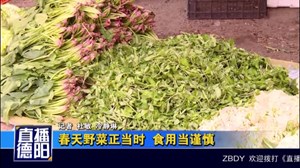 春天野菜正当时  食用当谨慎