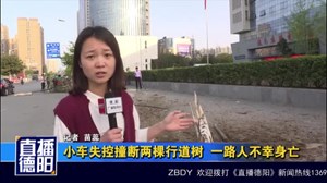 小车失控撞断两棵行道树  一路人不幸身亡