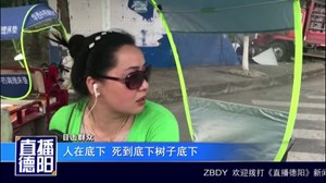 惨痛！十字路口货车电瓶车相撞  一人丧命
