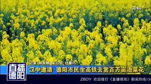 汉中邀请  德阳市民坐高铁去赏百万亩油菜花