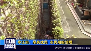 亭江街：恶臭扰民  市民期盼治理