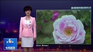 什邡皂角义桥村：芬芳玫瑰待客来