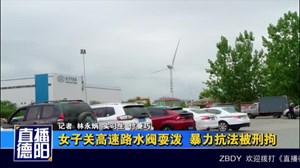 女子耍泼关高速服务区水阀    暴力抗法被刑拘