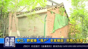 中江：野蜜蜂“落户”农家烟囱   养蜂人笑嘻了