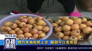 绵竹本地枇杷上市  酸甜可口受欢迎