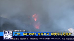 广汉：秸秆回收厂突发大火  所幸无人员伤亡