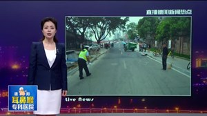 交通肇事逃逸 民警4小时破案
