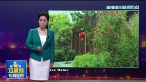  十年涅槃   小村焕发新活力