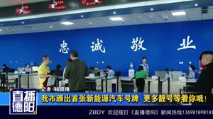 我市颁出首张新能源汽车号牌  更多靓号等着你哦