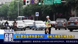 女交警值勤带狗耍手机？ 真相为救助车祸受伤犬