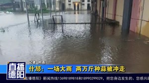 什邡：一场大雨  两万斤种蒜被冲走