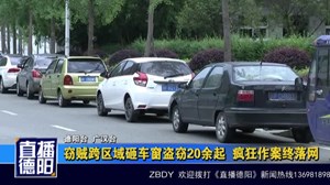窃贼跨区域砸车窗盗窃20余起  疯狂作案终落网