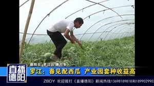 罗江：春见配西瓜 产业园套种收益高