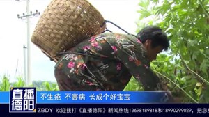 话端午习俗  插艾草祈福