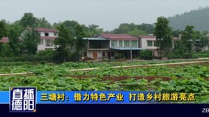 三塘村：借力特色产业  打造乡村旅游亮点