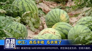中江：西瓜丰收  瓜农笑了