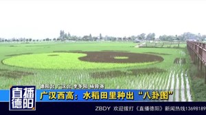 广汉西高：菜花之后 水稻田里种“八卦”