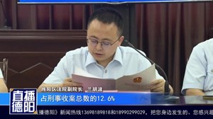 旌阳区人民法院发布毒品犯罪案件审判白皮书