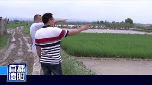 广汉：全力开展灾后生产自救