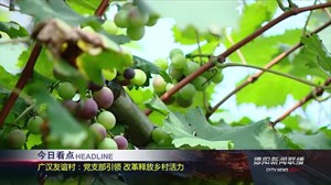 2018年6月29日新闻联播