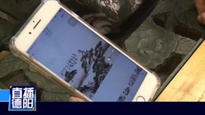 鹅卵石上作画 90后女孩妙笔生花