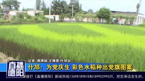 什邡：为党庆生 彩色水稻种出党旗图案