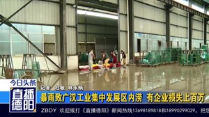  暴雨致广汉工业集中发展区内涝  有企业损失上百万
