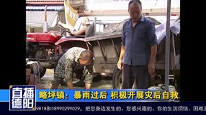 略坪镇：暴雨过后 积极开展灾后自救