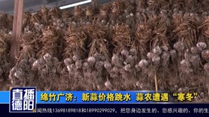 绵竹广济：新蒜价格跳水  蒜农遭遇“寒冬”